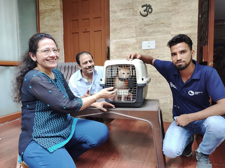 Cat Relocation Services
